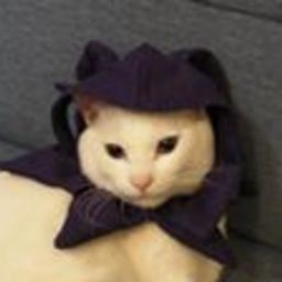 bittanbottan