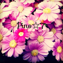 7-pino