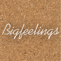bigfeelings  自己紹介文必読