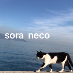 空　猫　　〜sora  neco〜