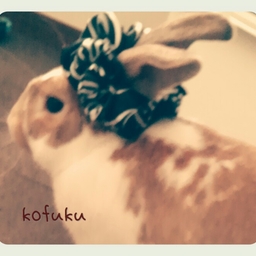 KOFU＊mama