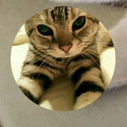 じゃれぐるみ