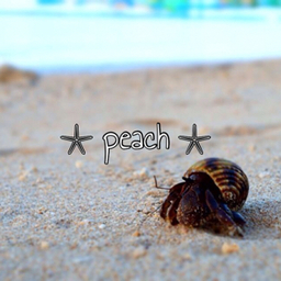 peach0611