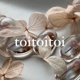 toi-rs
