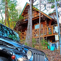 woodcountry