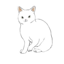 manekineko