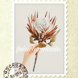 fukuchanmade