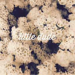 little-dude