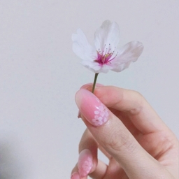 rikas-nail
