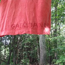 gaiadance