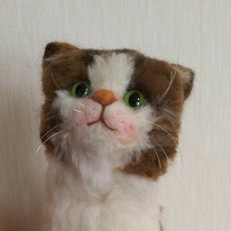 neko2usa