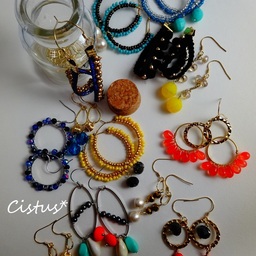 Ｃｉｓｔｕｓ＊