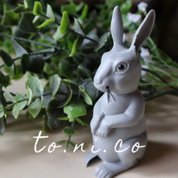 tonico (ﾄﾆｺ)
