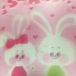 ぱすてる♡りぼん