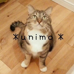 ＊unimo＊