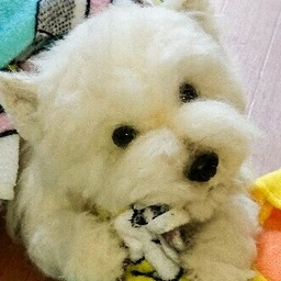chomako