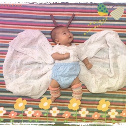 satto.t