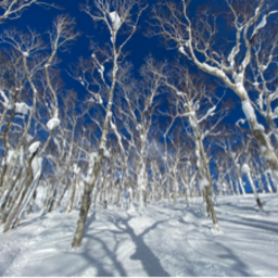 Niseko