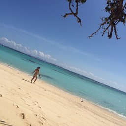 gajumaru0101