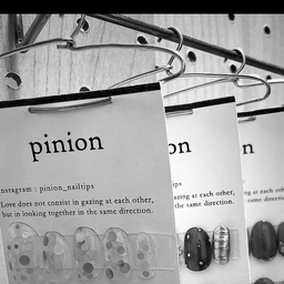 pinion
