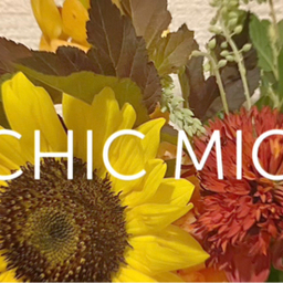 chicmic