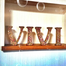 vivis-ms
