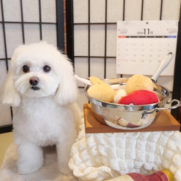 purinko