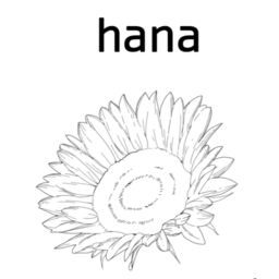 hana605020