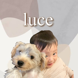 luce【ルーチェ】