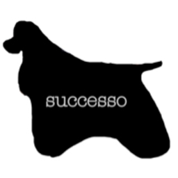 success26