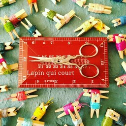 Lapin qui court　