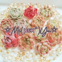 ☆Mi(μεκ*)Yu☆