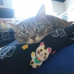 こてつ　らぼ*