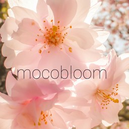 mocobloom