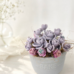 chie_succulent