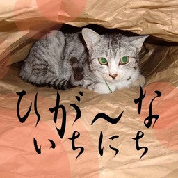 higana-ichi
