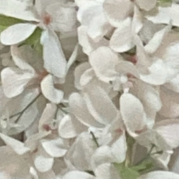eKomoMai