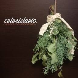 colorislavie