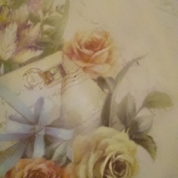 Rose-home