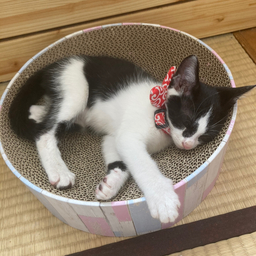 手作り工房愛❤️