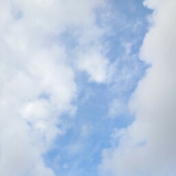 ちゃか。