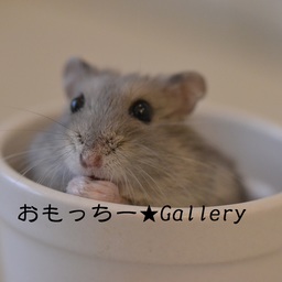 おもっちー