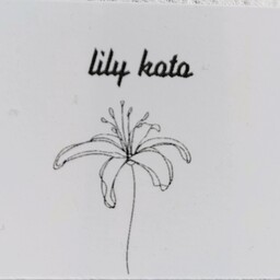 lily koto