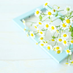 海がみえる手芸教室