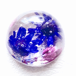 彩－irodori－