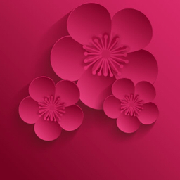 hinode