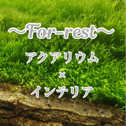 FOR-rest