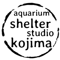アクアリウムシェルタースタジオコジマ