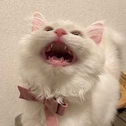 うさぎうなぎ