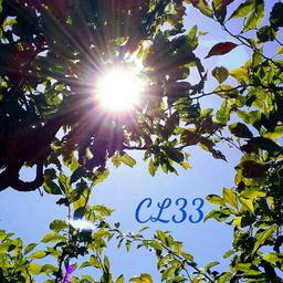 CL33